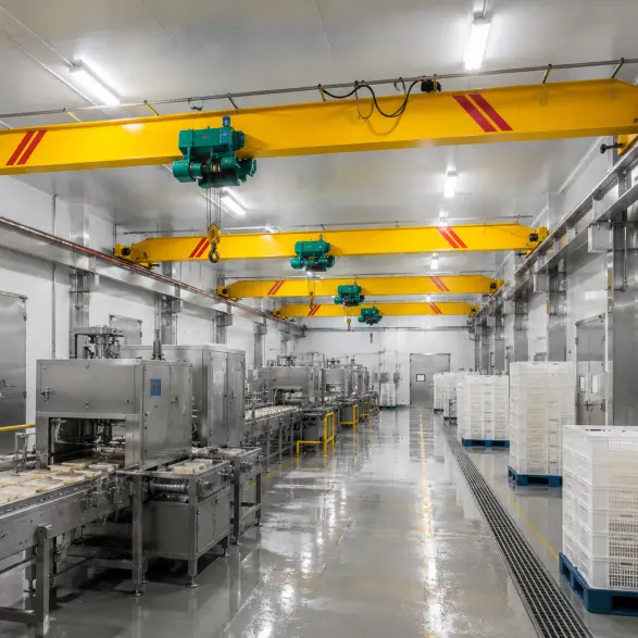  low headroom suspension crane,