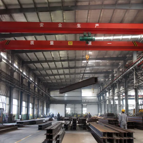 Electric Overhead Traveling Crane